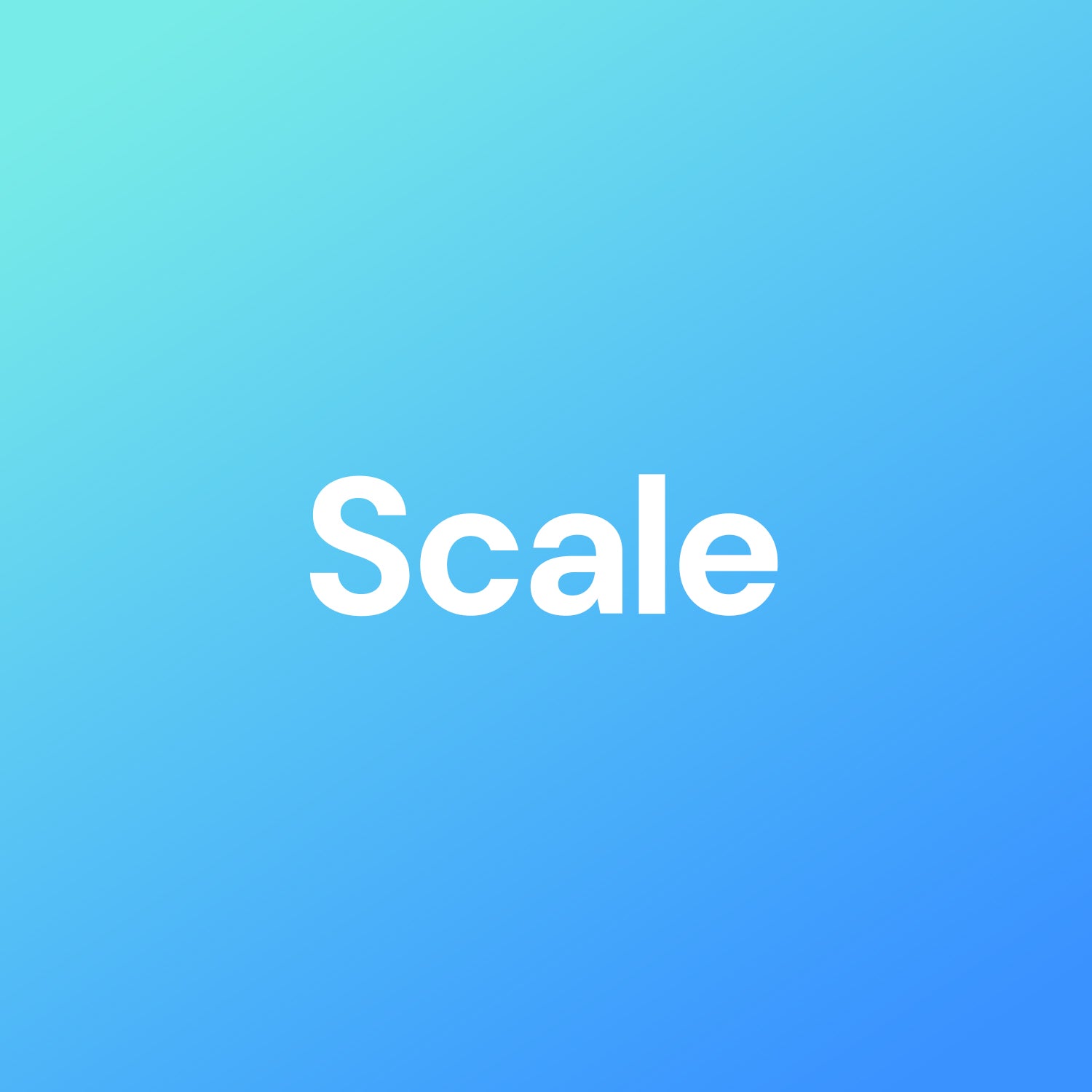 Scale